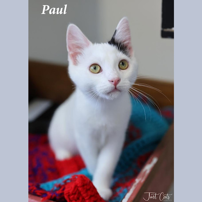 Photo of Paul