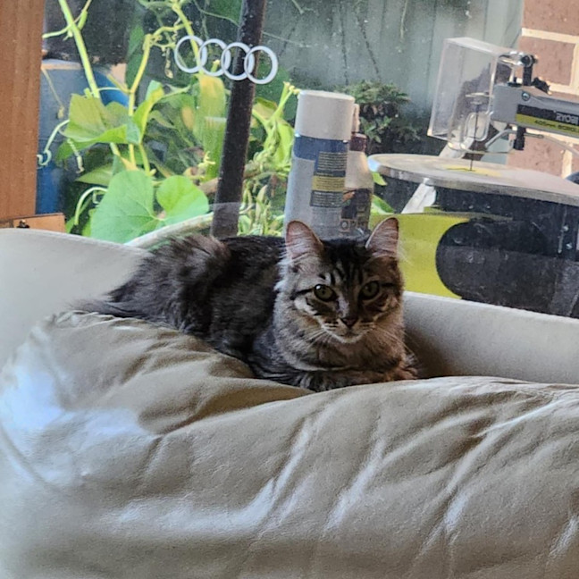 Photo of Sophie