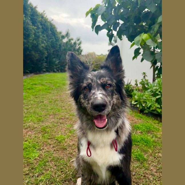 Photo of Nahla