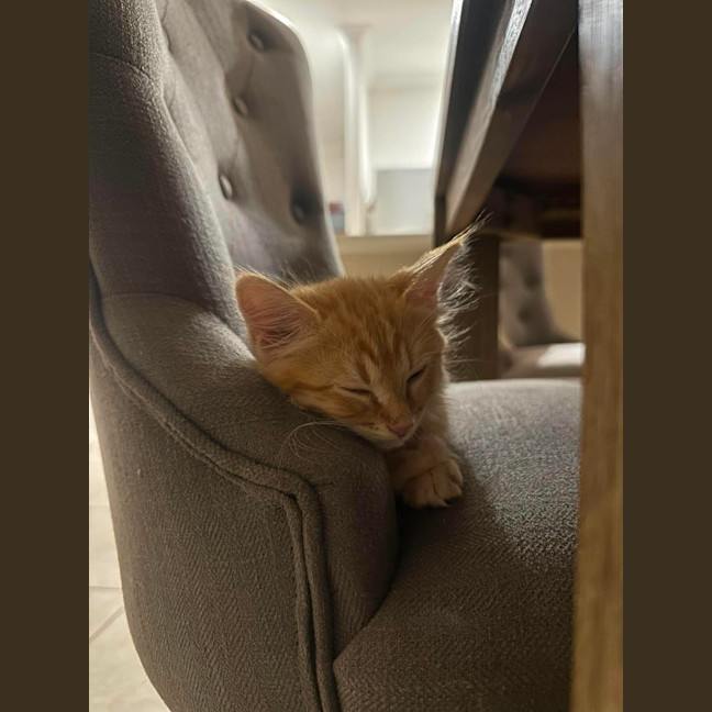 Photo of Cheetos