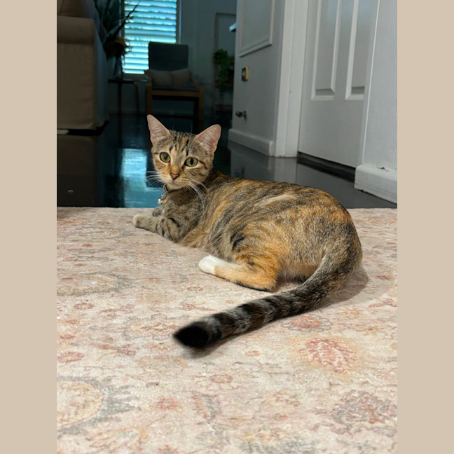Photo of Bridgette 