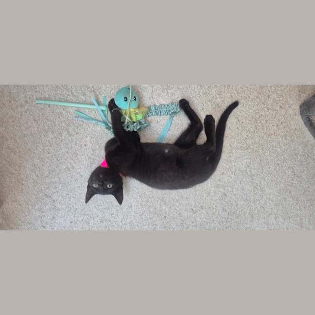 Photo of Mary (9202)