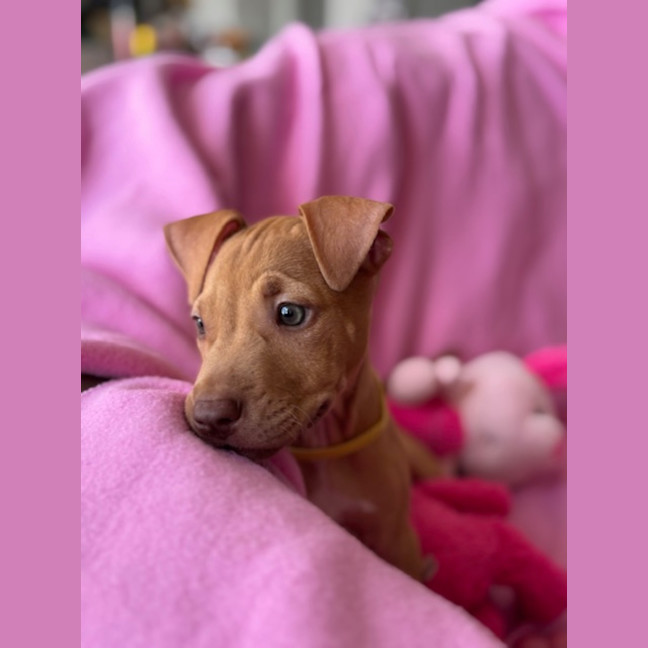 Photo of Cleo