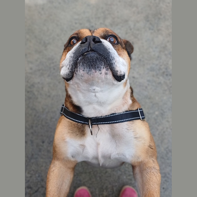 Photo of Louie