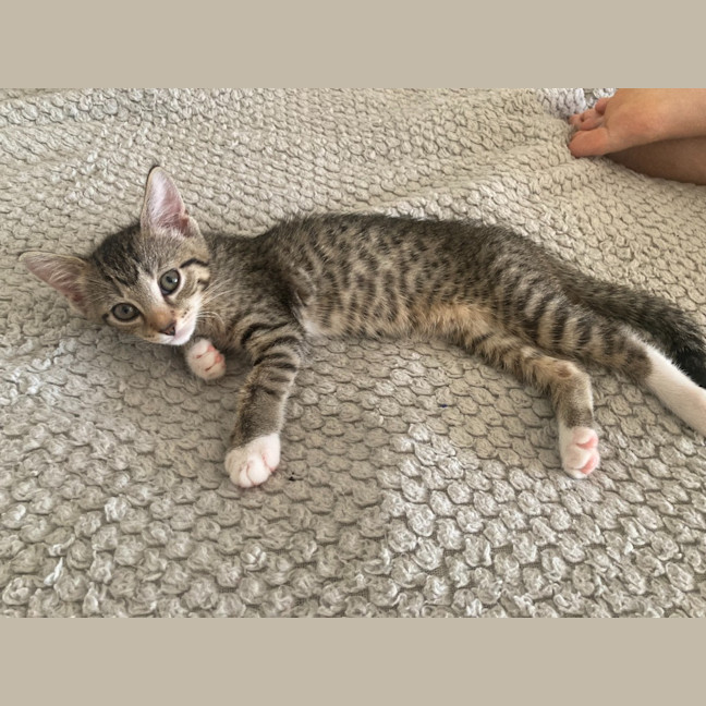 Photo of Zuri