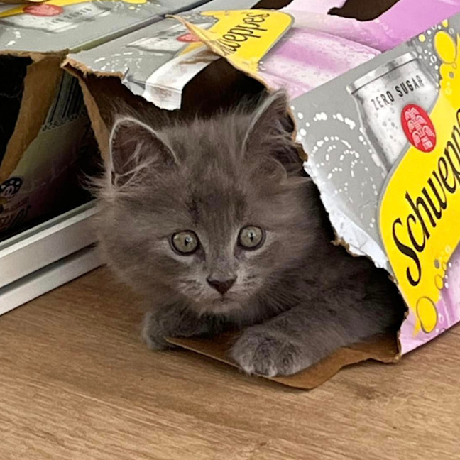 Photo of Cloud