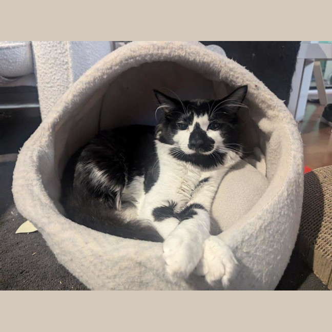 Photo of Junior