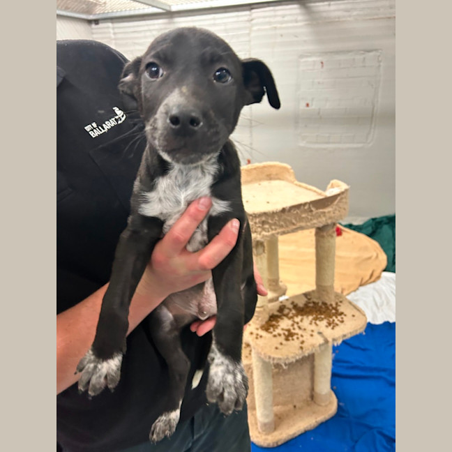 Photo of Quarter Past