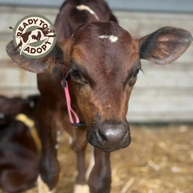 Photo of Moe & Barney