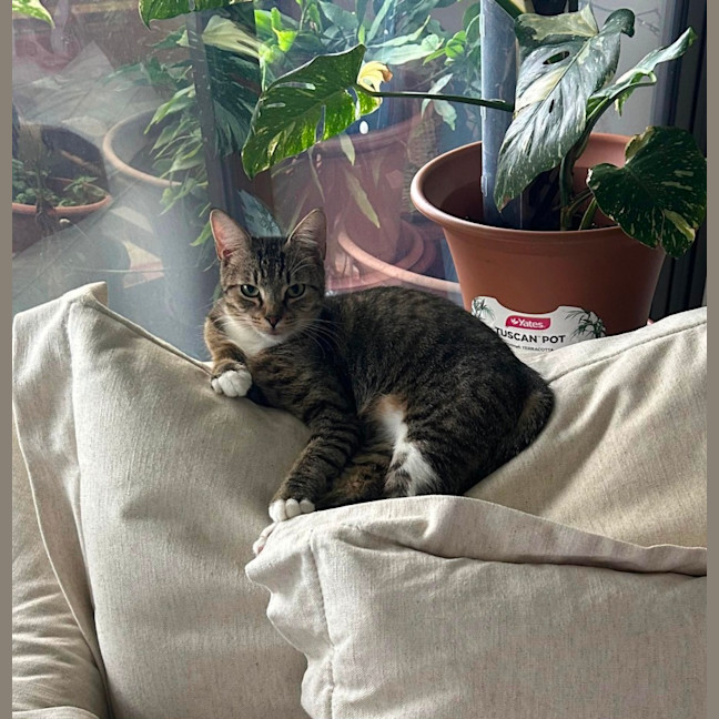 Photo of Emily 