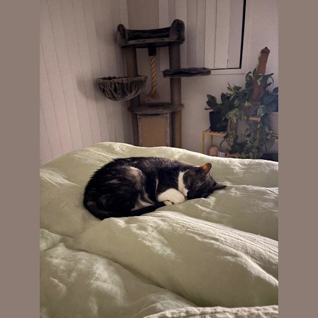 Photo of Maggie