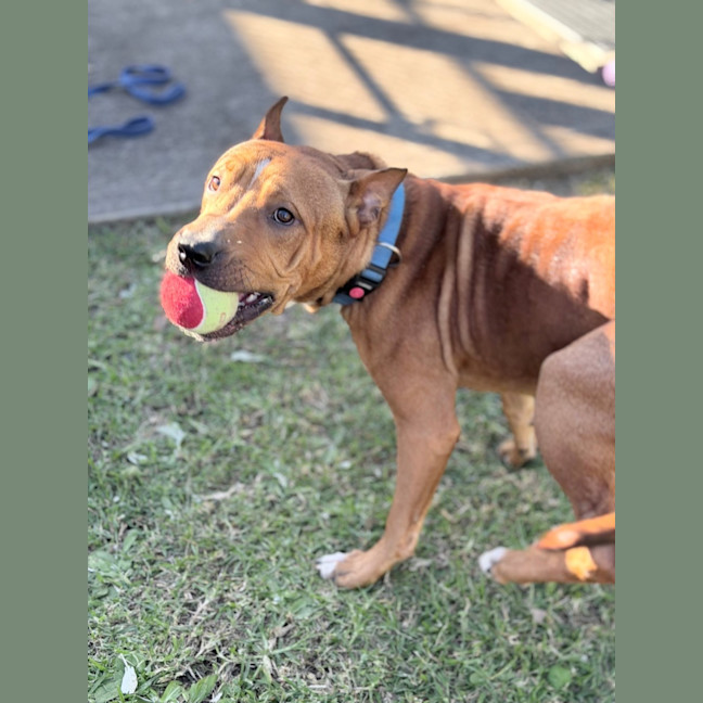 Photo of Reuben