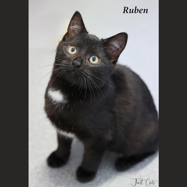 Photo of Ruben