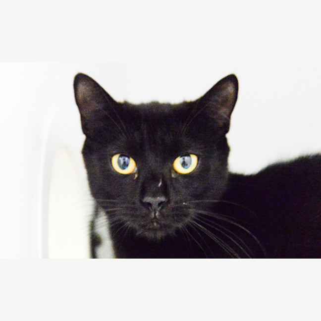 Photo of Stormy