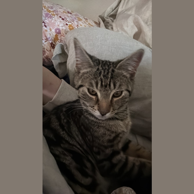 Photo of Zeke
