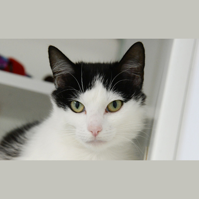 Photo of Aggie