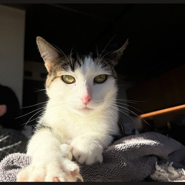 Photo of Elsie