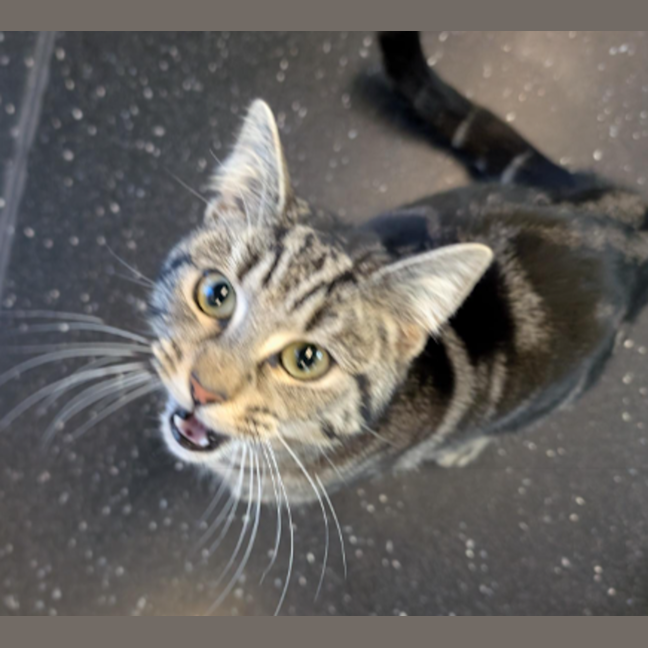 Photo of Mrs. Cunningham