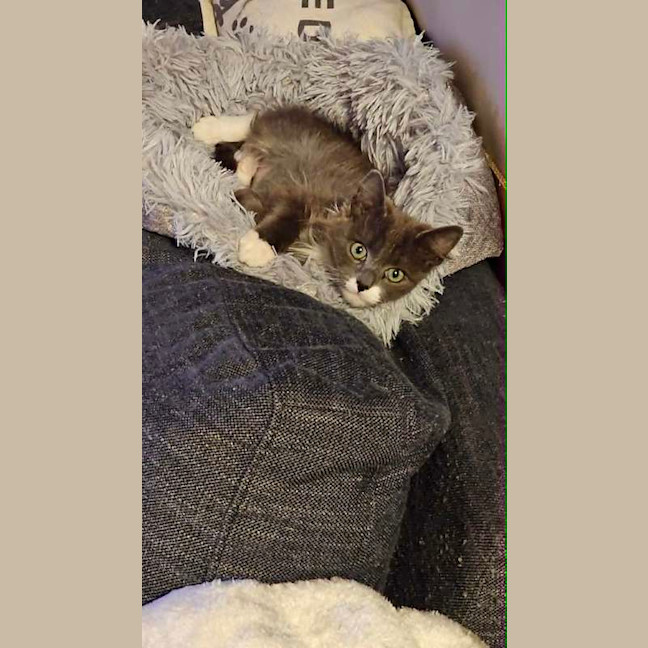Photo of Rocky