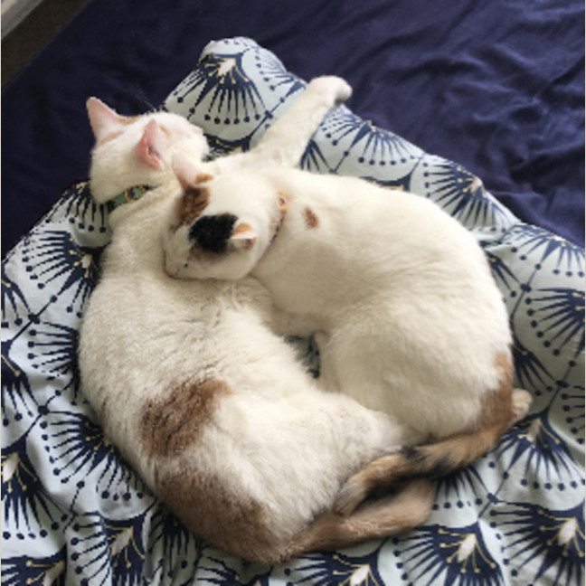 Photo of Mickey & Minnie