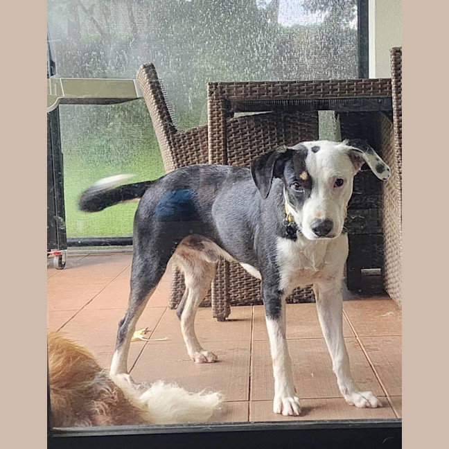 Photo of Flip