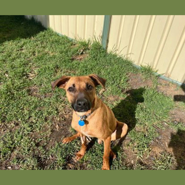 Photo of Finley 