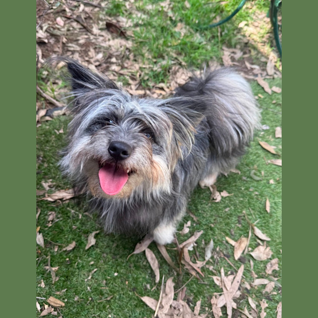 Photo of Oakley