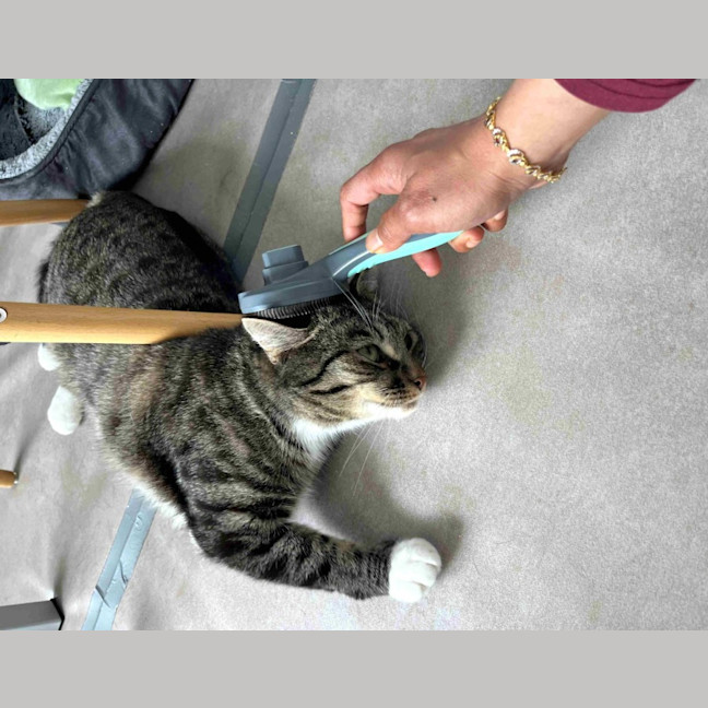 Photo of Timmy Sta012534