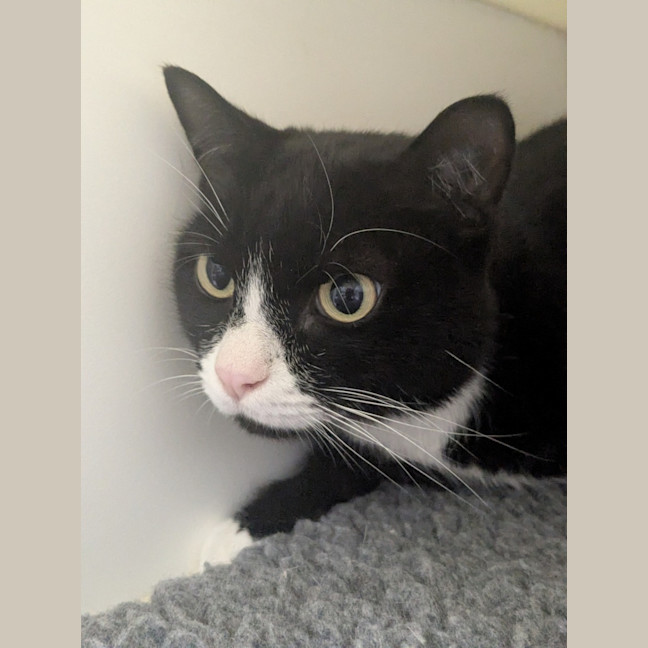 Photo of ⛳ Melvin 5886 ⛳