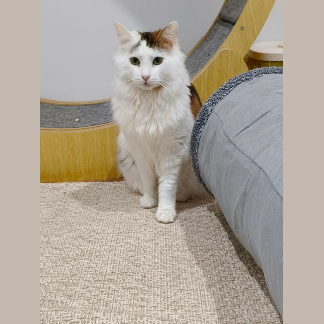 Photo of Oliver