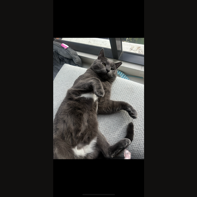 Photo of Sweetie Boy