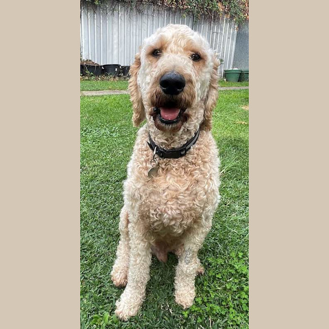 Photo of Murphy