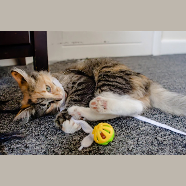 Photo of Marble