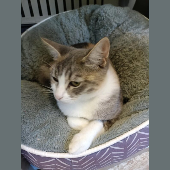 Photo of Mae