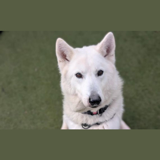 Photo of Storm