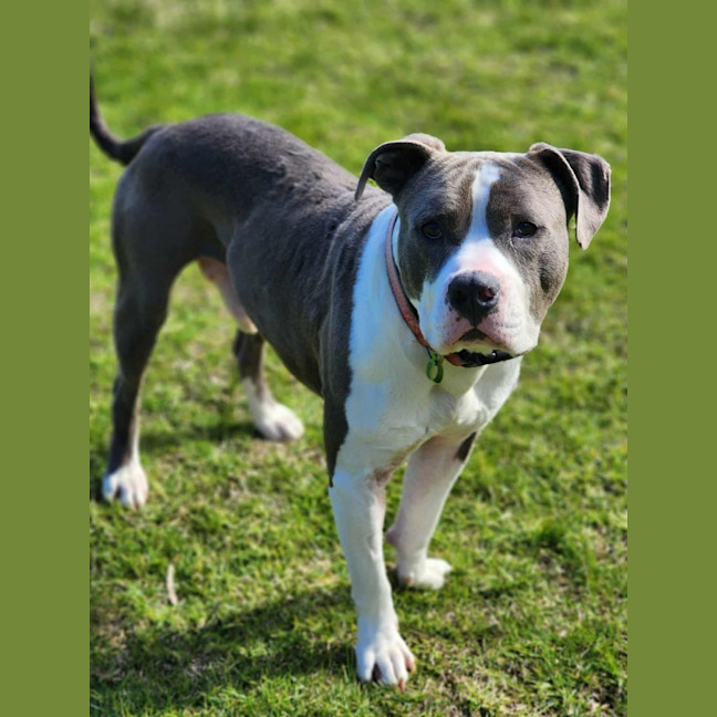 Photo of 🧱 Mason 6377 🧱