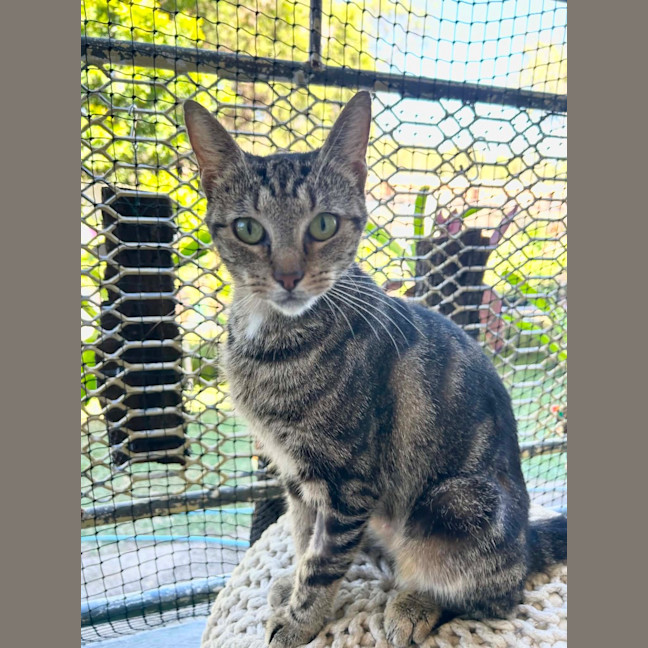 Photo of Sarabeth