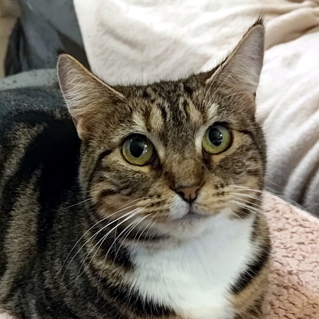 Photo of Bonnie Sta014805