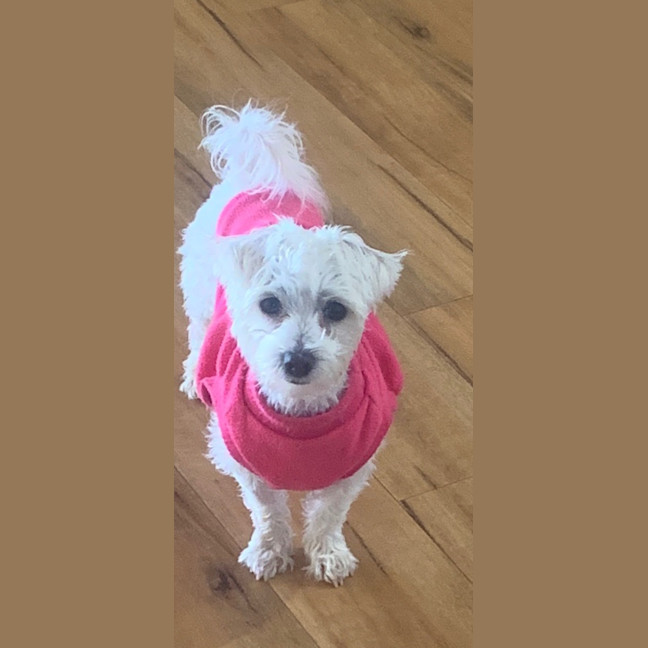 Photo of Juni 