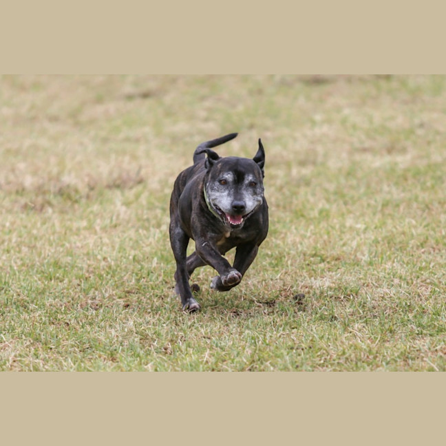 Photo of Delilah