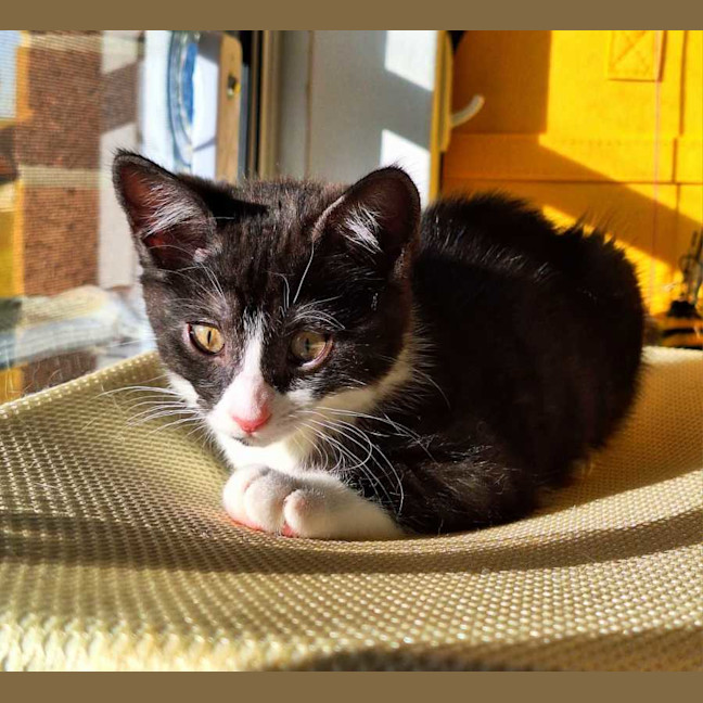 Photo of Bobbi