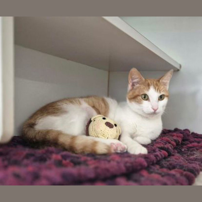Photo of Jasper