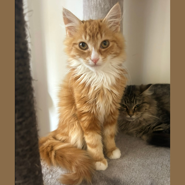 Photo of Jamie ❤️