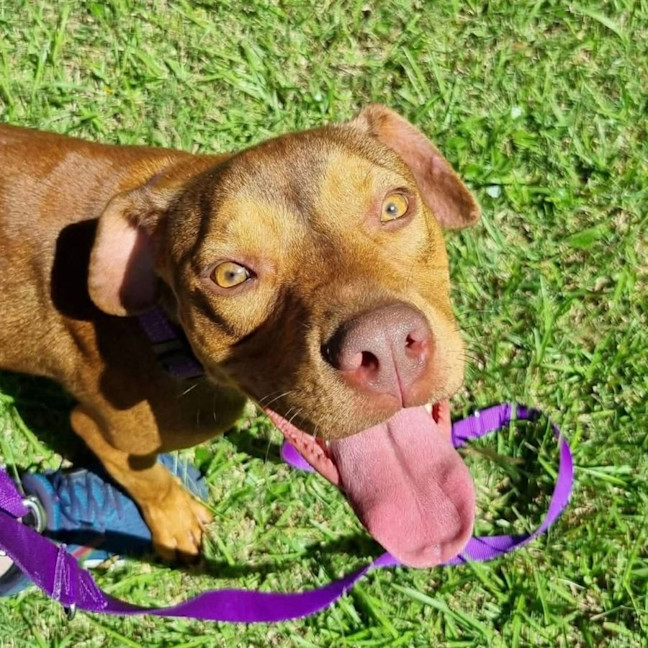 Photo of Tucker
