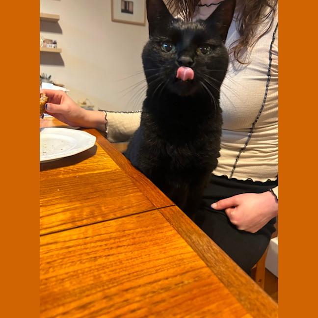 Photo of Nuzzlington