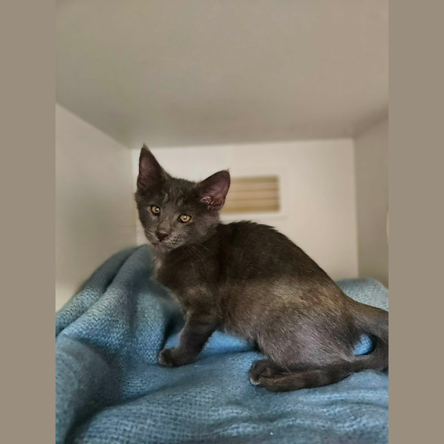 Photo of Wiggles
