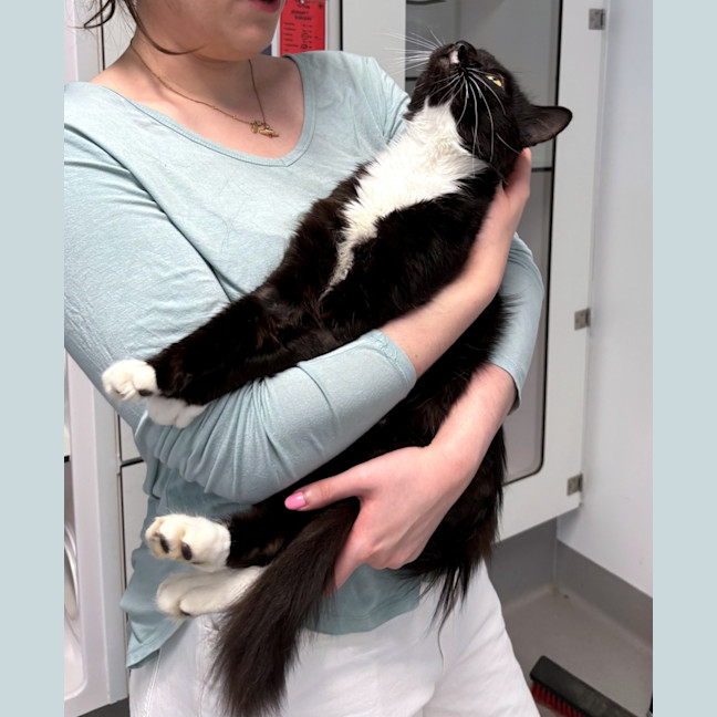 Photo of Jerry Sta013335