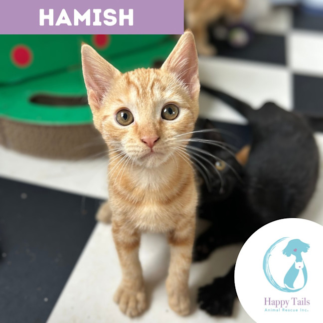 Photo of Hamish