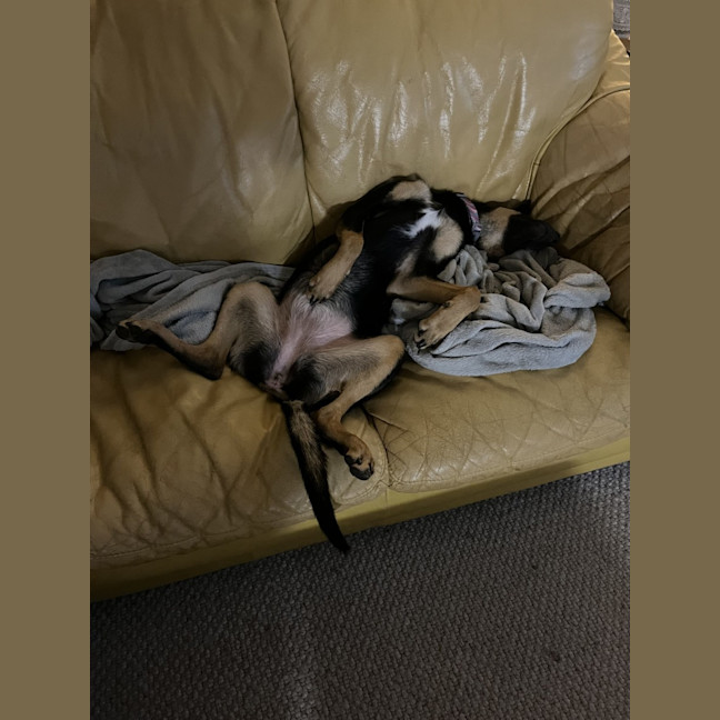 Photo of Incy Wincy