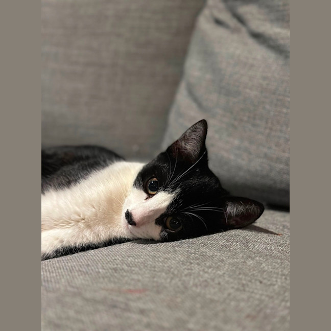 Photo of Zip